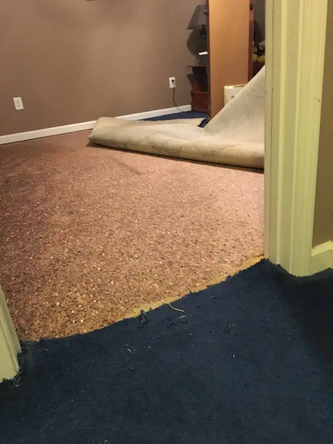 Carpet pad removal revealing water damage during Drying & Dehumidification in Revere