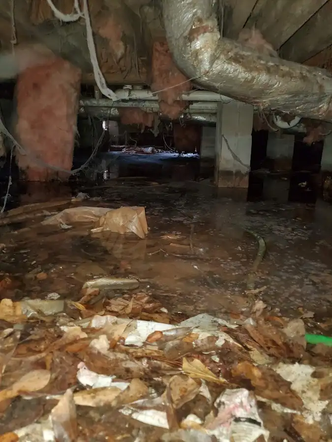 Crawl space flood assessment for Leak Detection & Repair in Revere
